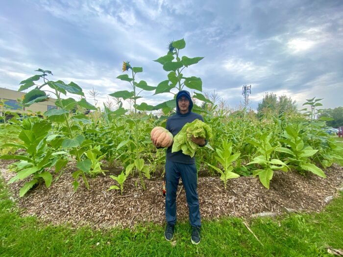 Picture of a person in a field holding a squash